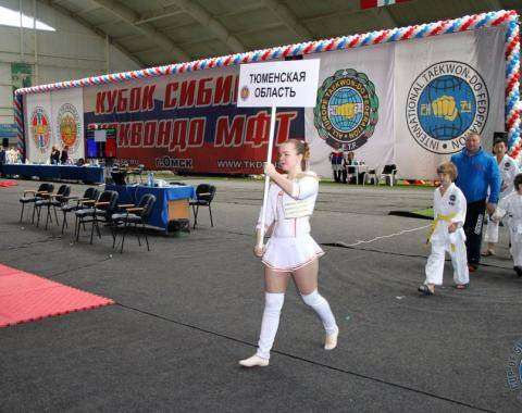 Участники из тюменской области на соревнованиях по тхэквондо Кубок Сибири 2017